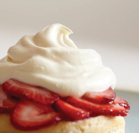 500xnxwhippedcreammainjpg-jpg-pagespeed-ic-v4i0zptsvm
